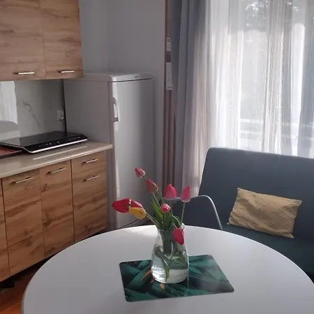 Simon Apartment Mielno (Koszalin)